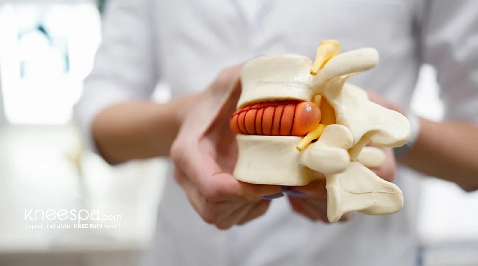 What is a Bulging Disc?