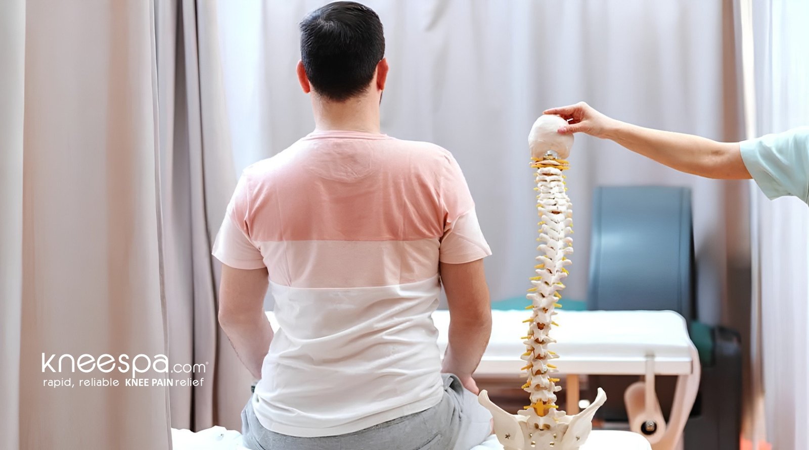What Exactly is Scoliosis?